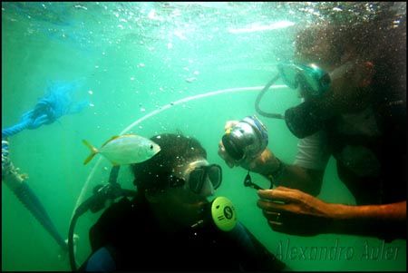 Scuba dive at Tamandaré´s Beach Coast. Pernambuco, Brazil. by Alexandro Auler 