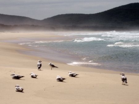 I took this photo whilst doing a Pacific road trip from B... by Laura Whittaker 