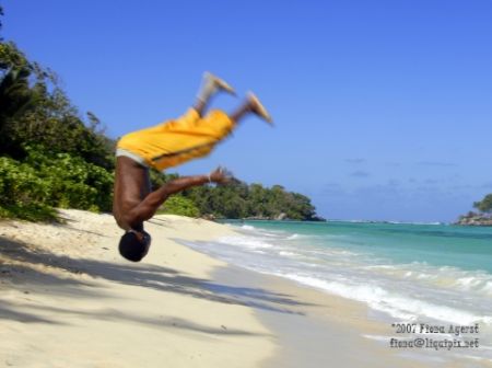 I have been slack- I return with a leap! there is some wa... by Fiona Ayerst 