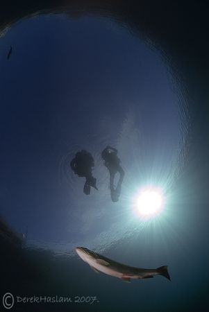 Divers at the surface. Capernwray.
D200, 10.5mm. by Derek Haslam 