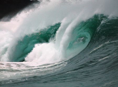 "Gnarly Nature". Another North Shore monster from Oahu, HI. by Mathew Cook 