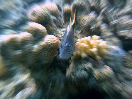 I used a slow shutter speed while zooming a 14mm to 45mm ... by Nikki Van Veelen 
