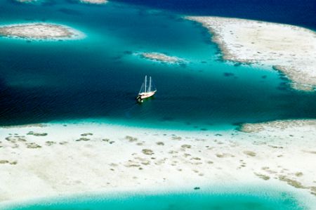 Wish you were here! Maldives 2005. by Chris Wildblood 