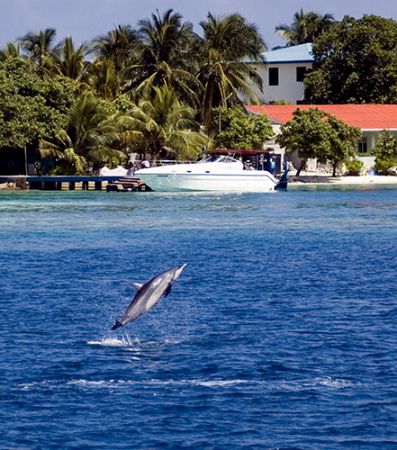 Not a bad place to live! Maldives, 2006. by Chris Wildblood 