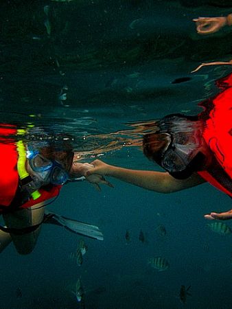 My wife is a snookellers...taken at Perhentian Island, Tu... by Zafarol Lokman 