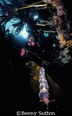 St Abbs nudi (testing new upload system) by Benny Sutton 