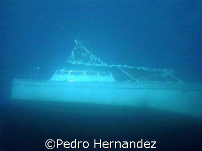 Dive Boat Palomino Diver photo from 40' deep camera DC310... by Pedro Hernandez 