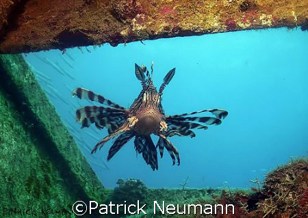 Coming through the window, taken at a wreck near Hurghada... by Patrick Neumann 