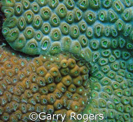 Yen/ Yang taken in front of our hotel in Cozumel Sea and ... by Garry Rogers 