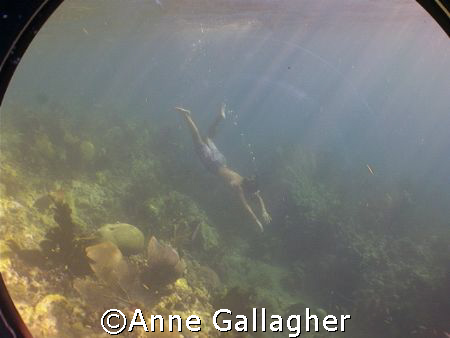 My friend diving over a reef in St. Lucia. A still lifted... by Anne Gallagher 