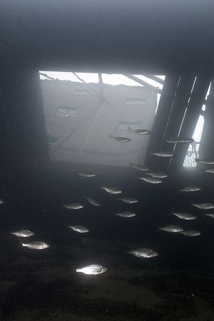 Stoney cove dive centre. D200, 16mm. by Derek Haslam 