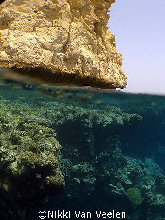 Over / under of the reef at Shark Observatory, Ras Mohame... by Nikki Van Veelen 