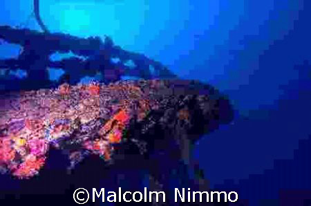 Wreck off Tioman Island; D70s 12-24mm; sea and sea housing   by Malcolm Nimmo 