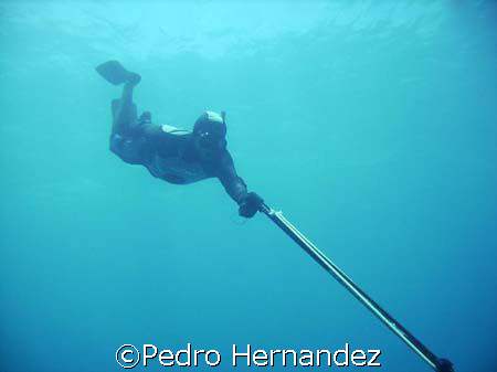 My Buddy Ronney,Lobo Island Fajardo, Puerto Rico by Pedro Hernandez 