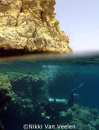 Diver making a safety stop at Shark Observatory, Ras Moha... by Nikki Van Veelen 