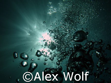 diving at 6 am, Banda Islands, Indonesia by Alex Wolf 