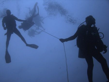 Descent by Roger Webb 