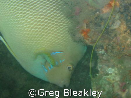 Taken in Pensacola, Fl. On the Tex Edwards by Greg Bleakley 