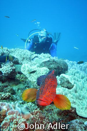 Sodwana bay,South Africa by John Adler 