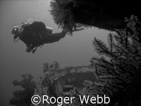 dive on the 'Shakem" by Roger Webb 