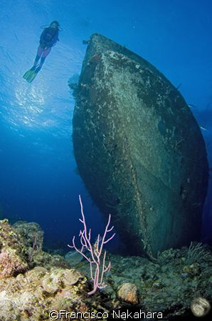 Diver & wreck a perfect combination by Francisco Nakahara 