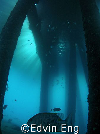 Sun Ray Over Jetty! Taken In Tioman With Canon S80. by Edvin Eng 