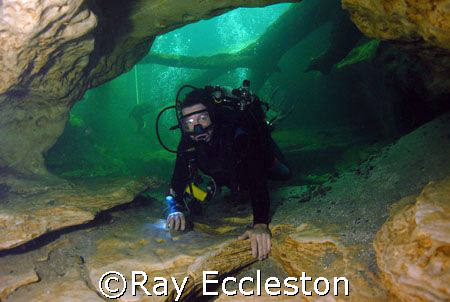 Diver at Blue Springs,Orange city FL. Camera D-200 Nikon by Ray Eccleston 