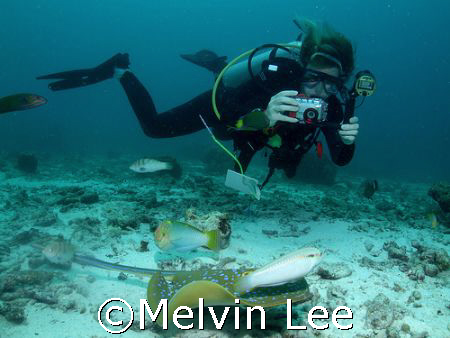 Digital Underwater Photography Diver by Melvin Lee 