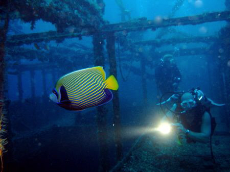 Alma Jane, Sabang Bay, Philippines by Dominique Schuelin 