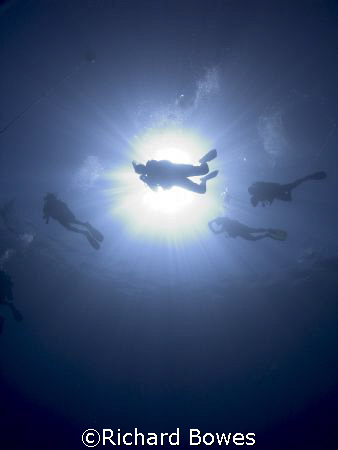 Divers.
Provo, Turks and Caicos by Richard Bowes 