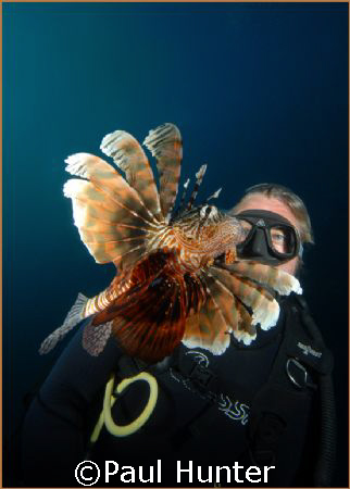 Firefish, taken at Sodwana by Paul Hunter 
