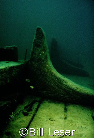 Whitefish Point Shipwreck Preserve
Hanging Knees by Bill Leser 