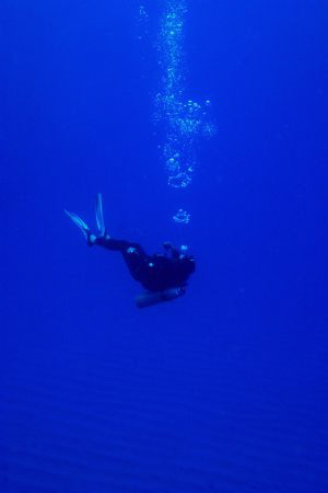 Diver blowing rings.  by Ting Tsui 