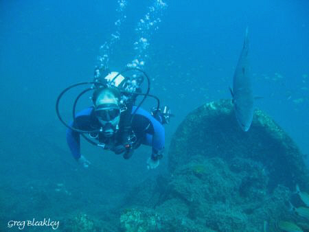 DIVE BUDDIES ?    Taken on the Russian Freighter
Pensaco... by Greg Bleakley 