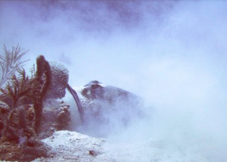 smoke screen by Roger Webb 