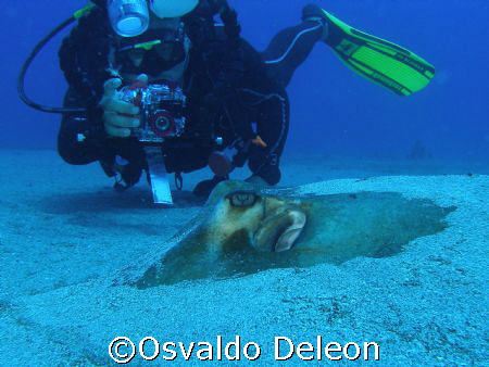 Victor and stingray by Osvaldo Deleon 