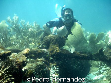 My buddy Israel,Vieqes, Puerto Rico by Pedro Hernandez 