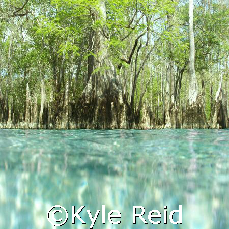 Beautiful day at morrison springs with 200' viz. by Kyle Reid 