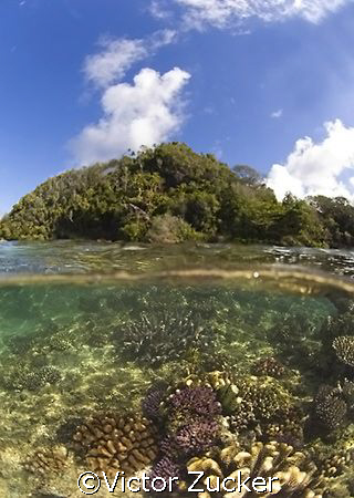 beauty above and below by Victor Zucker 