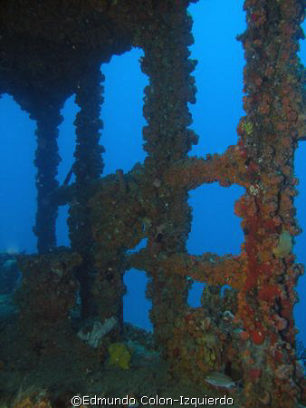 WIT Shoal by Edmundo Colon-Izquierdo 