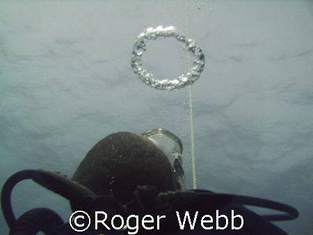 air ring...perfect!  by Roger Webb 