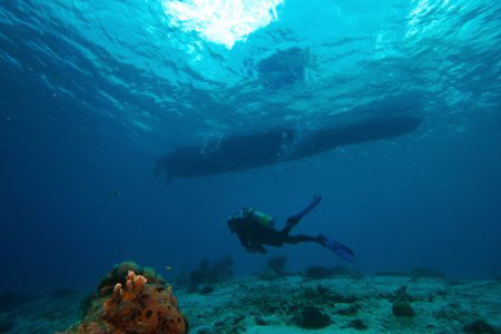 Dive is over, back to the boat after diving a The Invisib... by Terry Moore 