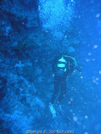Deep Blue. Maria La Gorda, Cuba Abril 2006
Housing and C... by Sergio E. Joo Gonzalez 