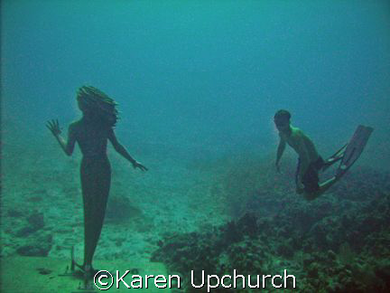 while diving sunset house reef a free diver came down to ... by Karen Upchurch 