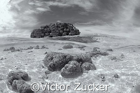 moody take on subject by Victor Zucker 