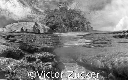 bw/ou by Victor Zucker 
