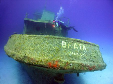 My wife swims over the stern of the newly sunk tug boat t... by Terry Moore 