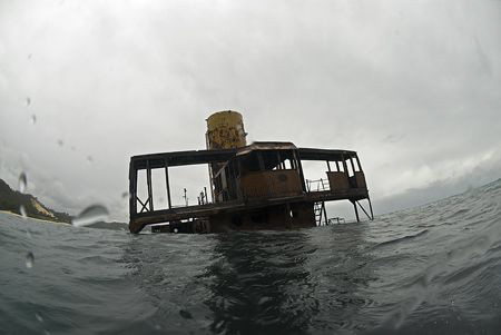 Tagalooma wreck. D200, 10.5mm. by Derek Haslam 
