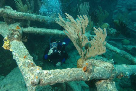 Constellation wreck, Bermuda.  Nikon D70, 12-24 mm lens. by David Heidemann 