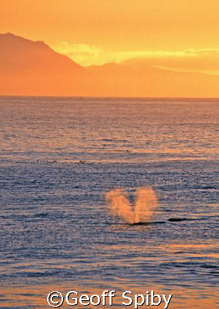 taken in False Bay, Cape Town by Geoff Spiby 